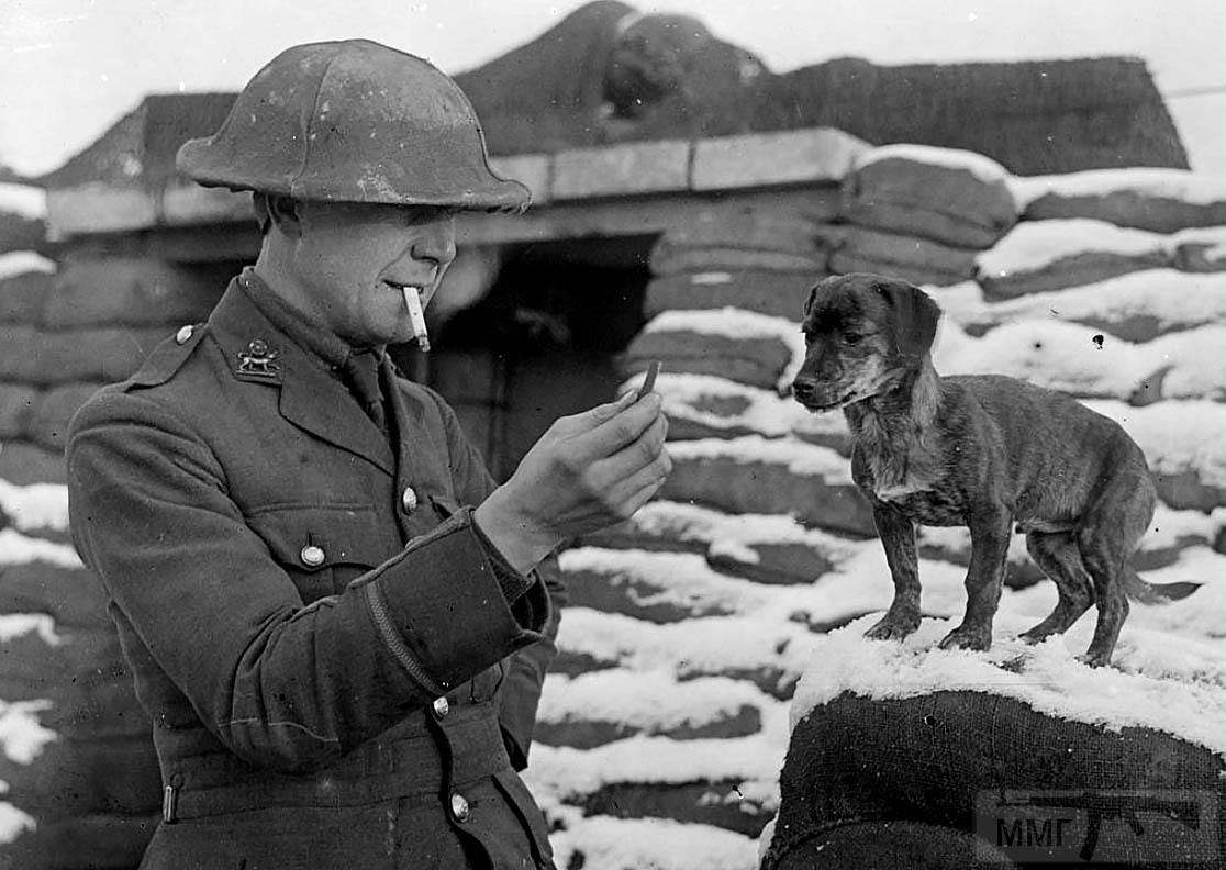 87931 - Военное фото. Западный фронт. 1914-1918г.г.