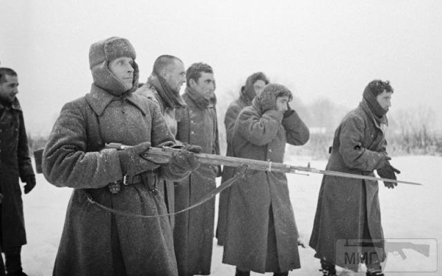 88275 - Военное фото 1941-1945 г.г. Восточный фронт.