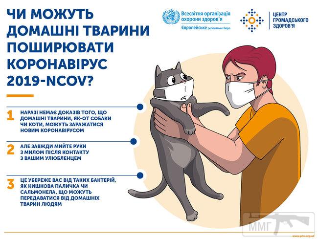 89932 - Вирус. Эпидемия.