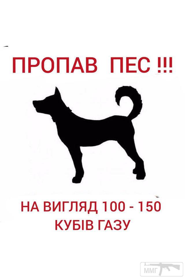 90211 - Политический юмор