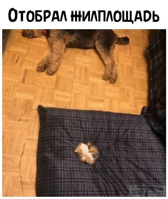 112482