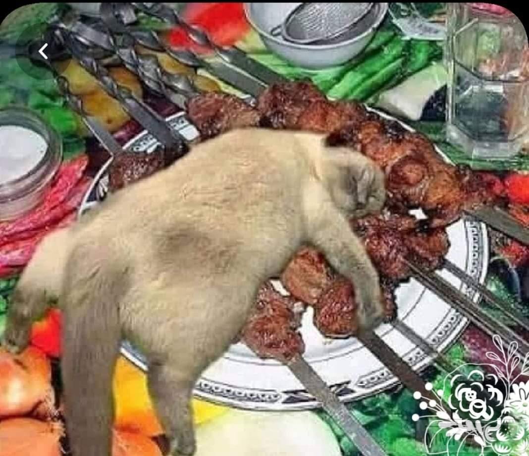 113735