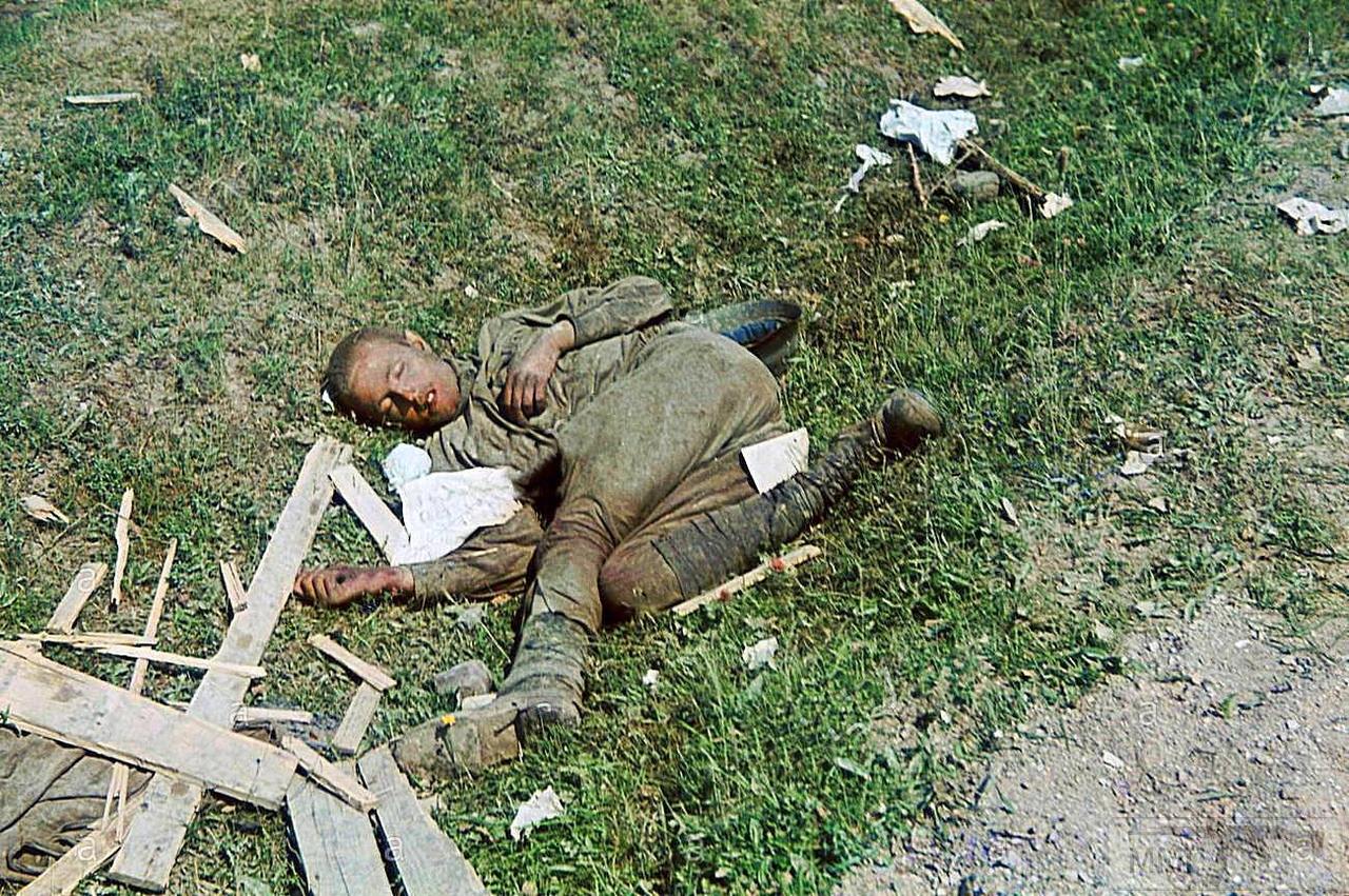 91542 - Лето 1941г,немецкие фото.