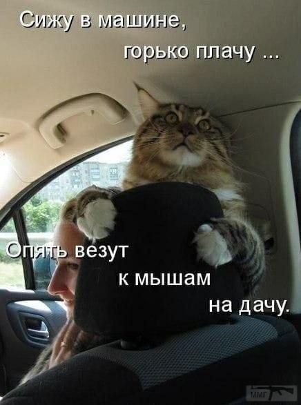 114209