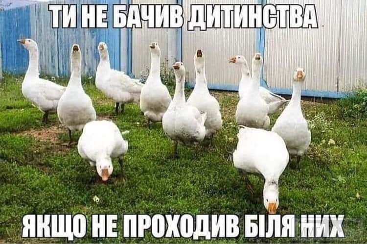 116299