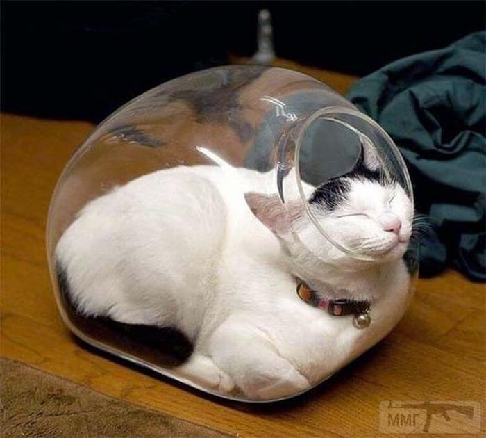 117057
