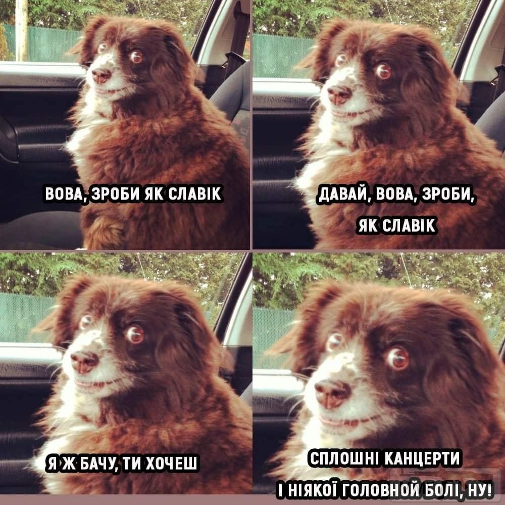 93857 - Политический юмор