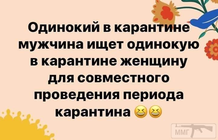 94191 - Вирус. Эпидемия.