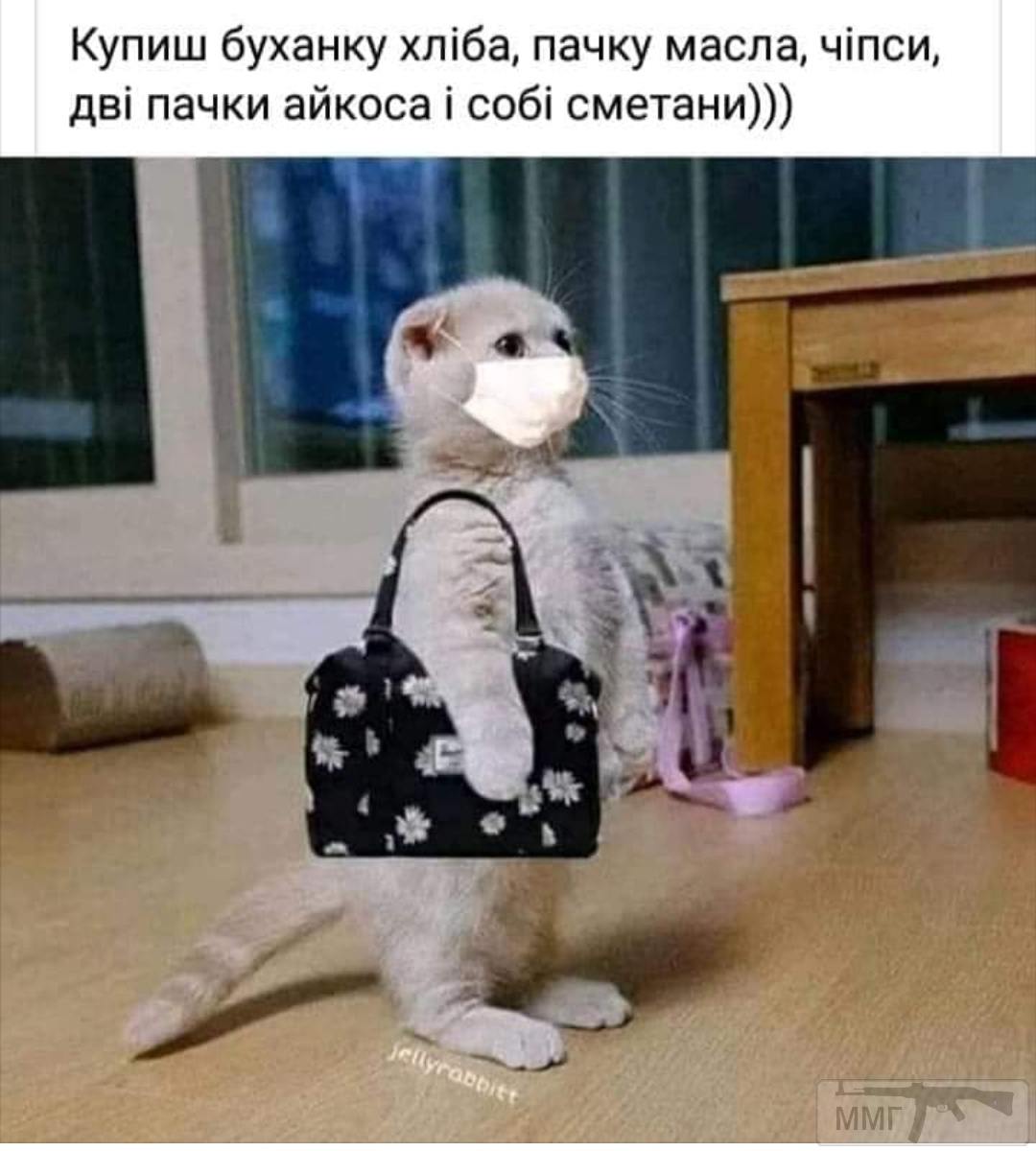 94742 - Вирус. Эпидемия.