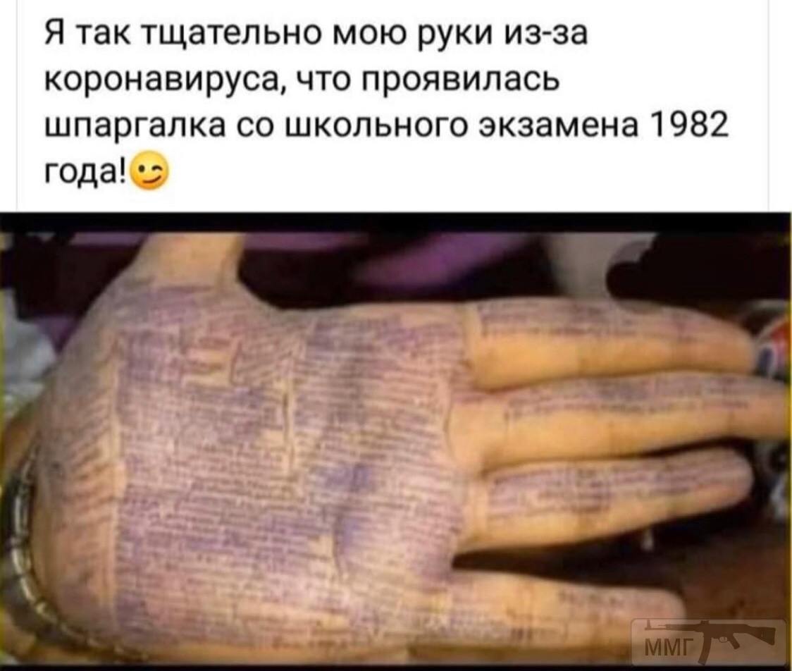 94807 - Вирус. Эпидемия.