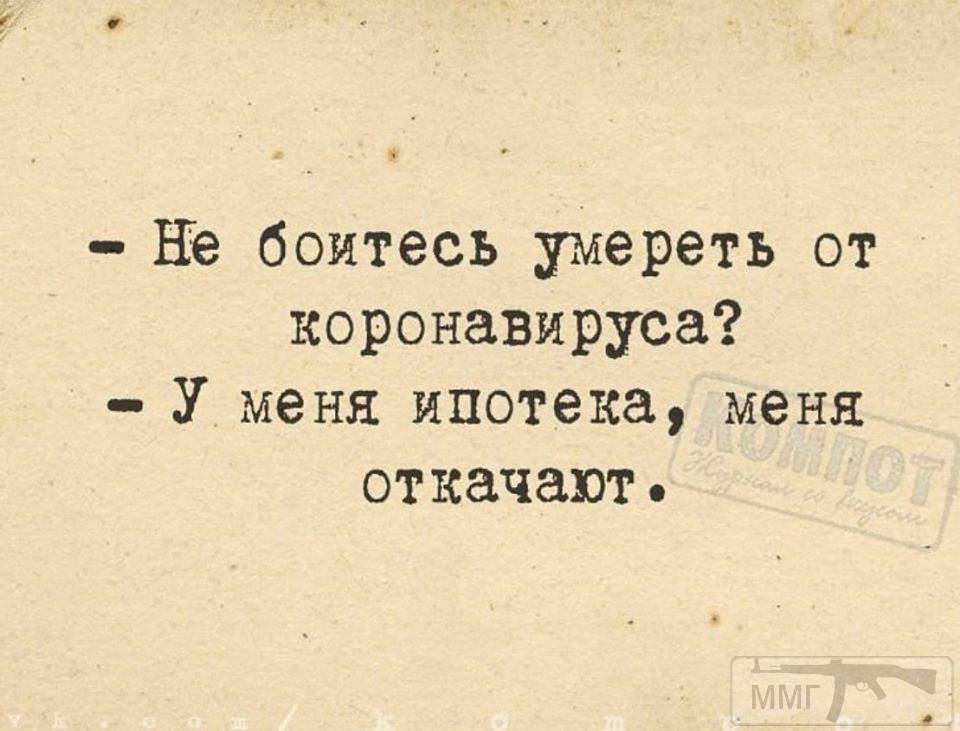 95040 - Вирус. Эпидемия.
