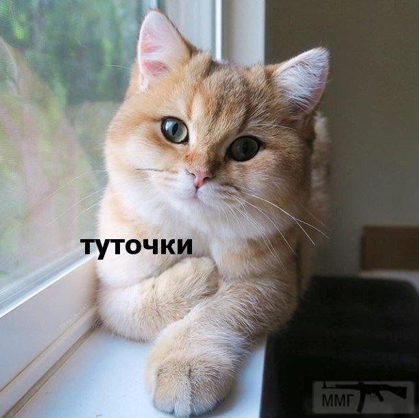 95081 - Вирус. Эпидемия.