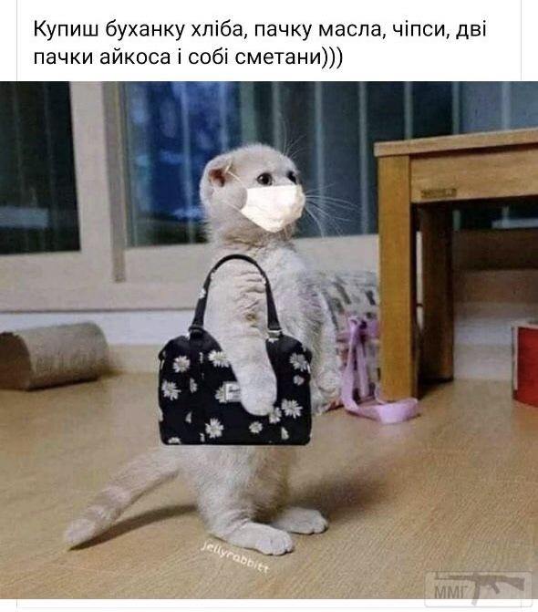 119966