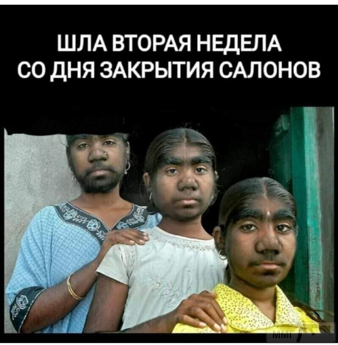 95835 - Вирус. Эпидемия.