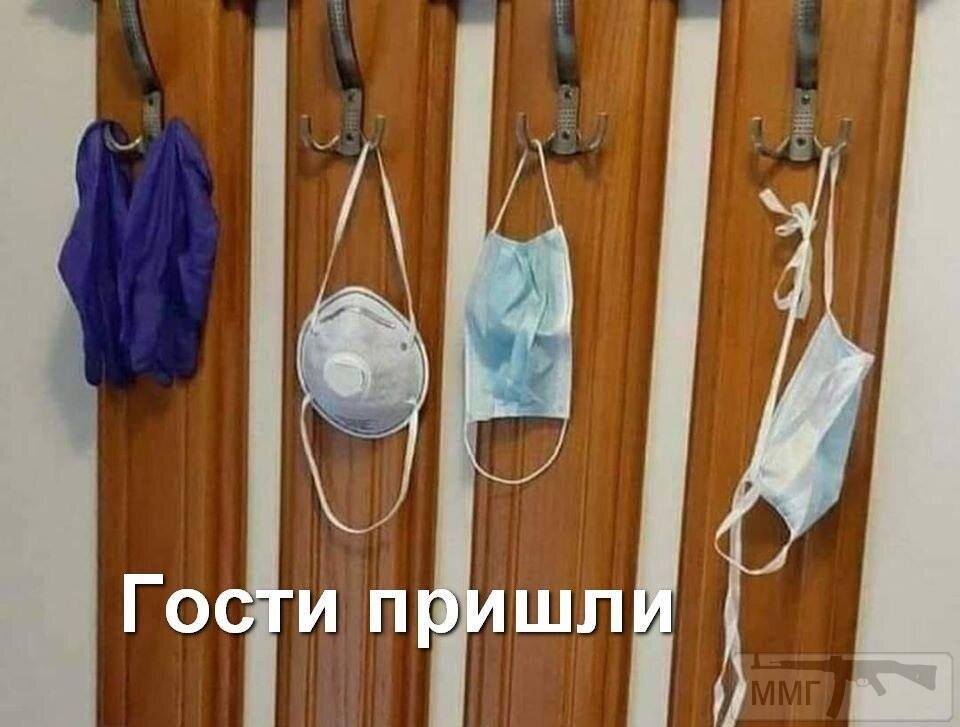 95954 - Вирус. Эпидемия.
