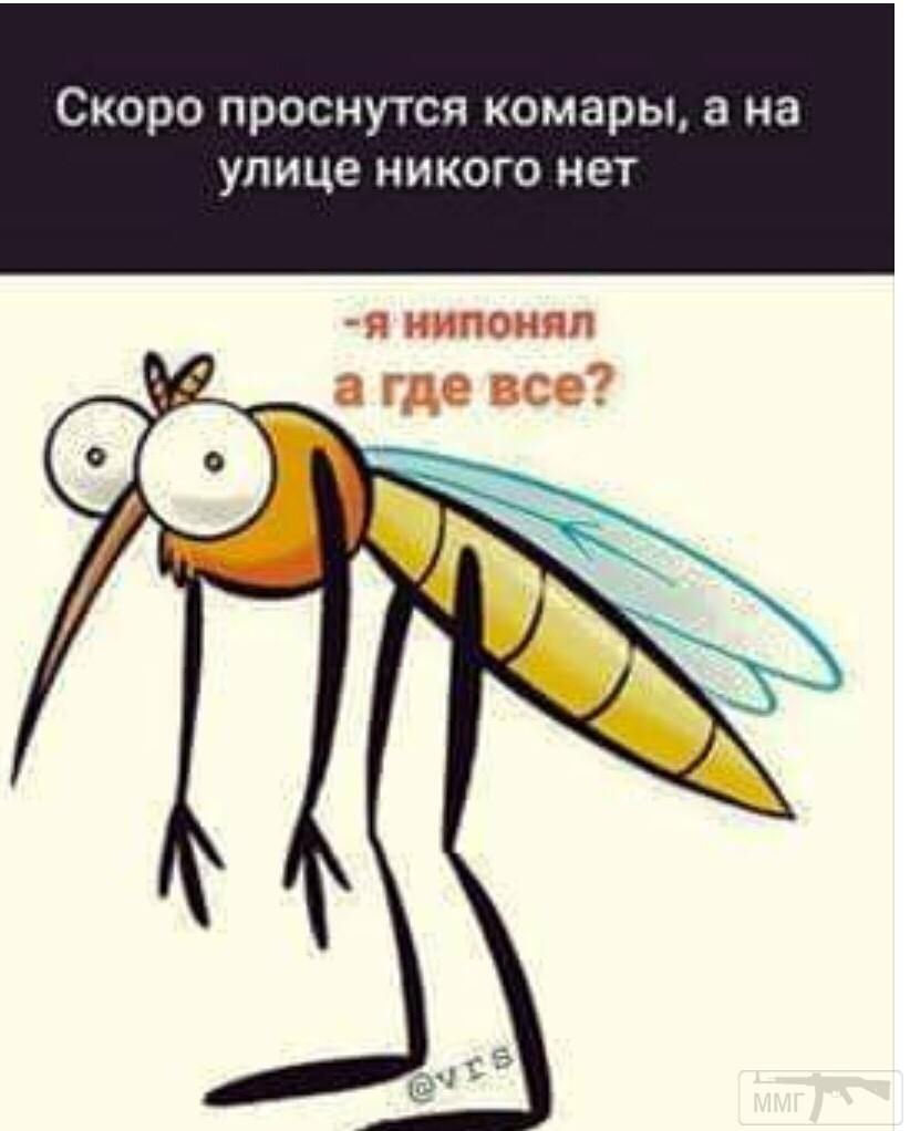 95971 - Вирус. Эпидемия.