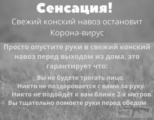 96269 - Вирус. Эпидемия.