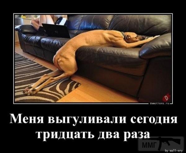 96271 - Вирус. Эпидемия.