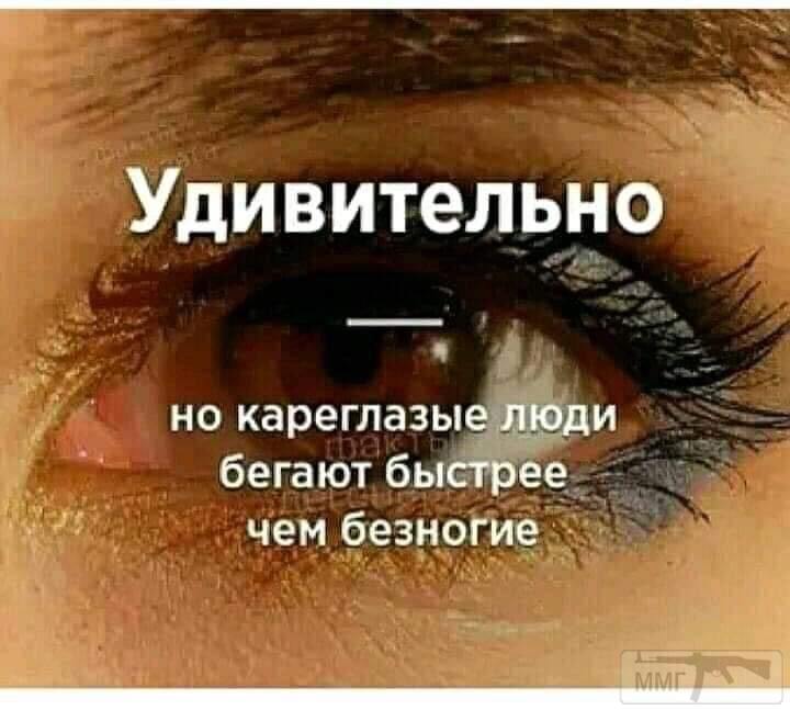 96501 - Адский циник!