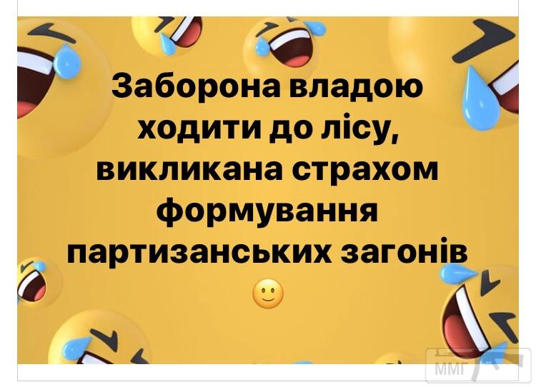 96699 - Вирус. Эпидемия.
