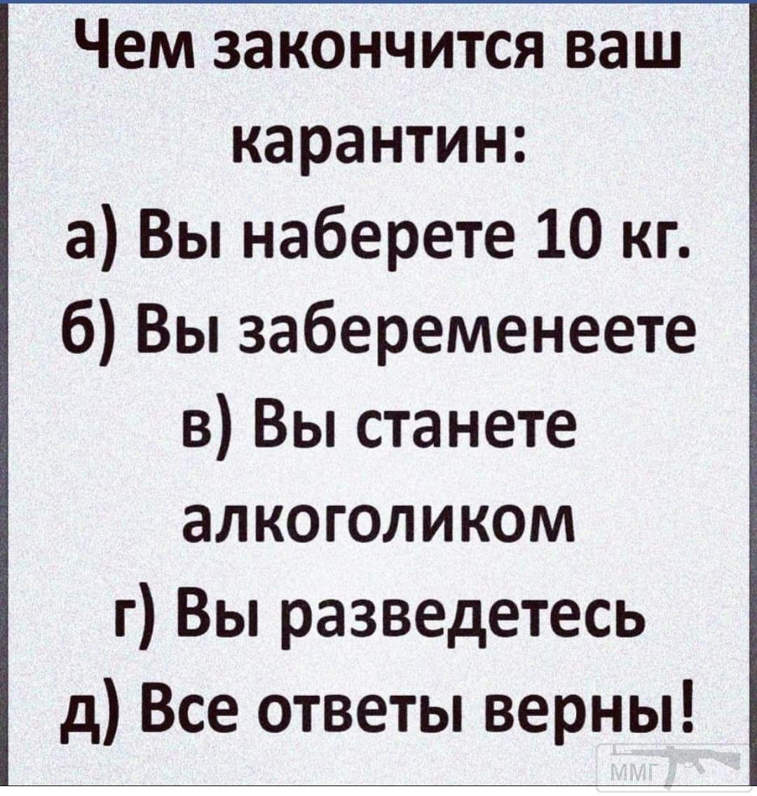 96726 - Вирус. Эпидемия.