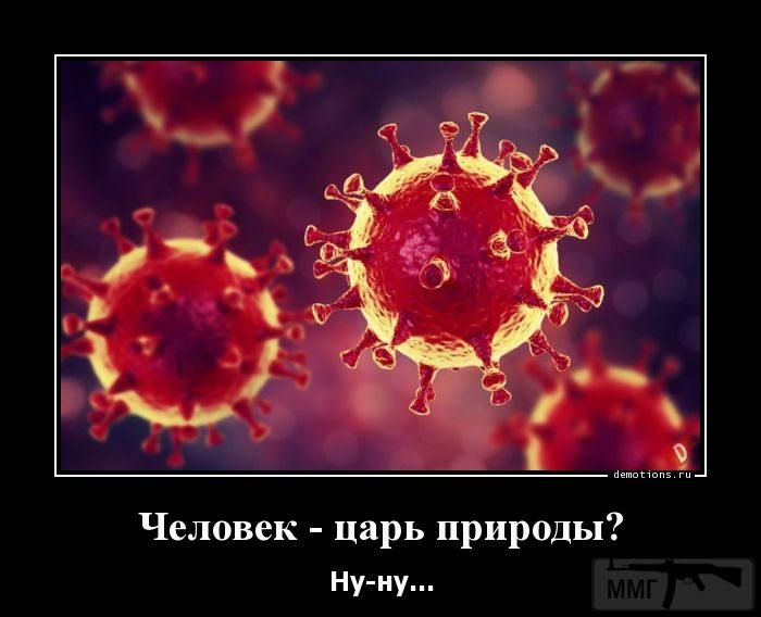 96780 - Вирус. Эпидемия.