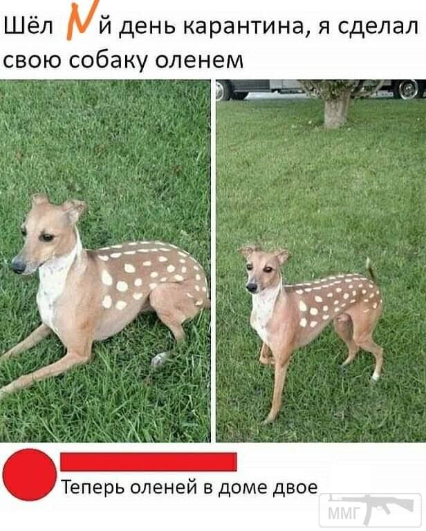 121374