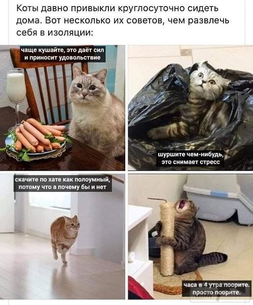 121397