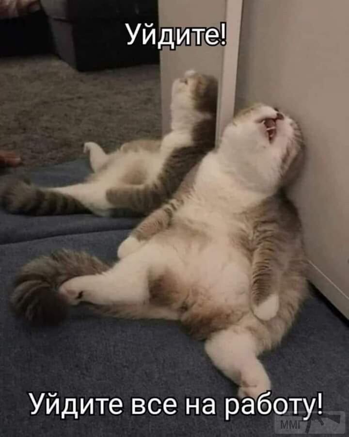 122048