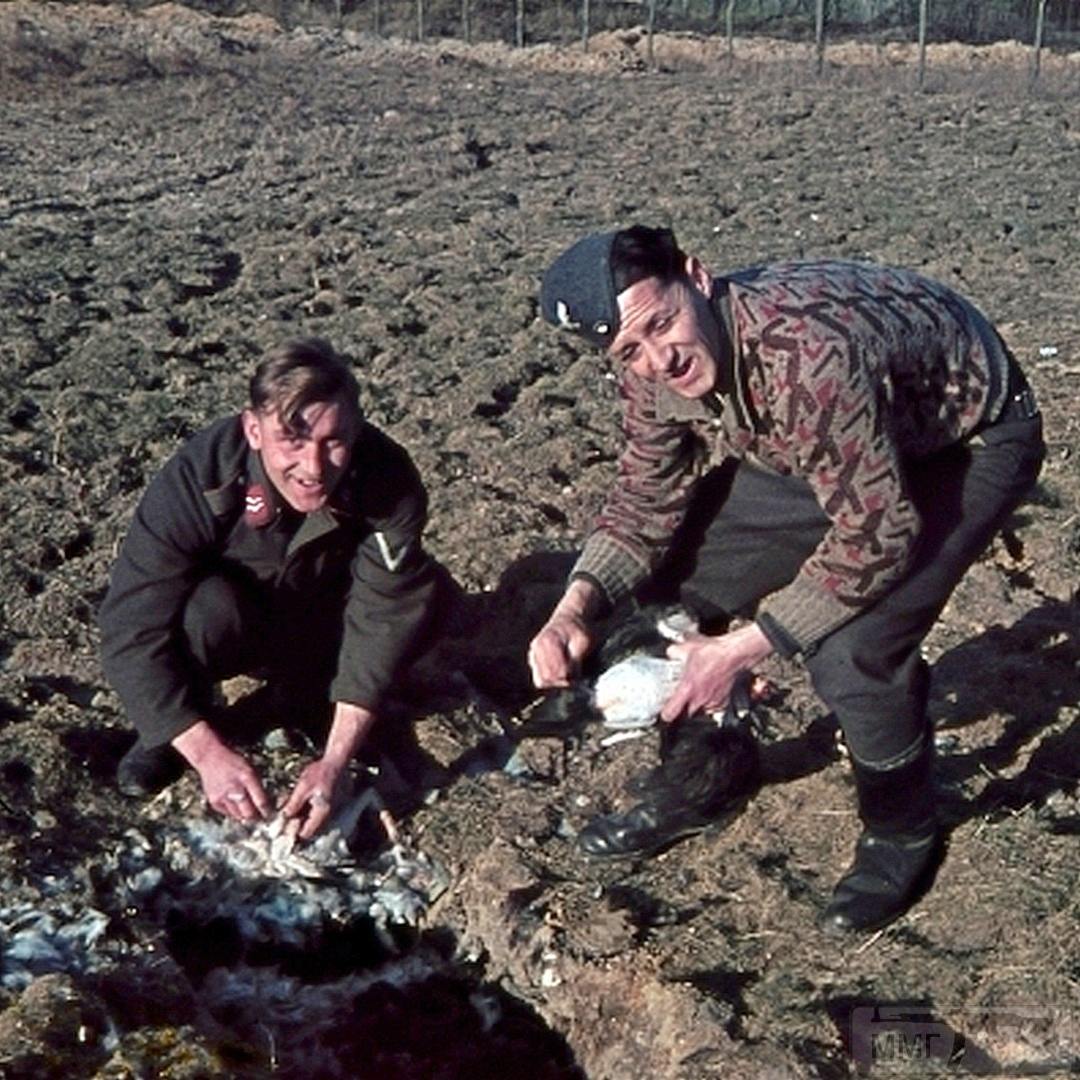 97818 - Военное фото 1939-1945 г.г. Западный фронт и Африка.