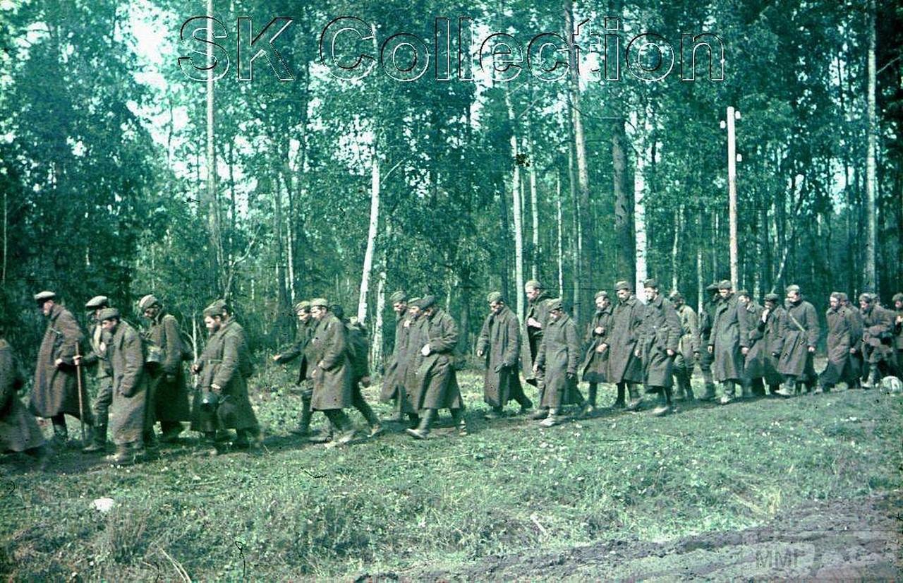 98034 - Военное фото 1941-1945 г.г. Восточный фронт.