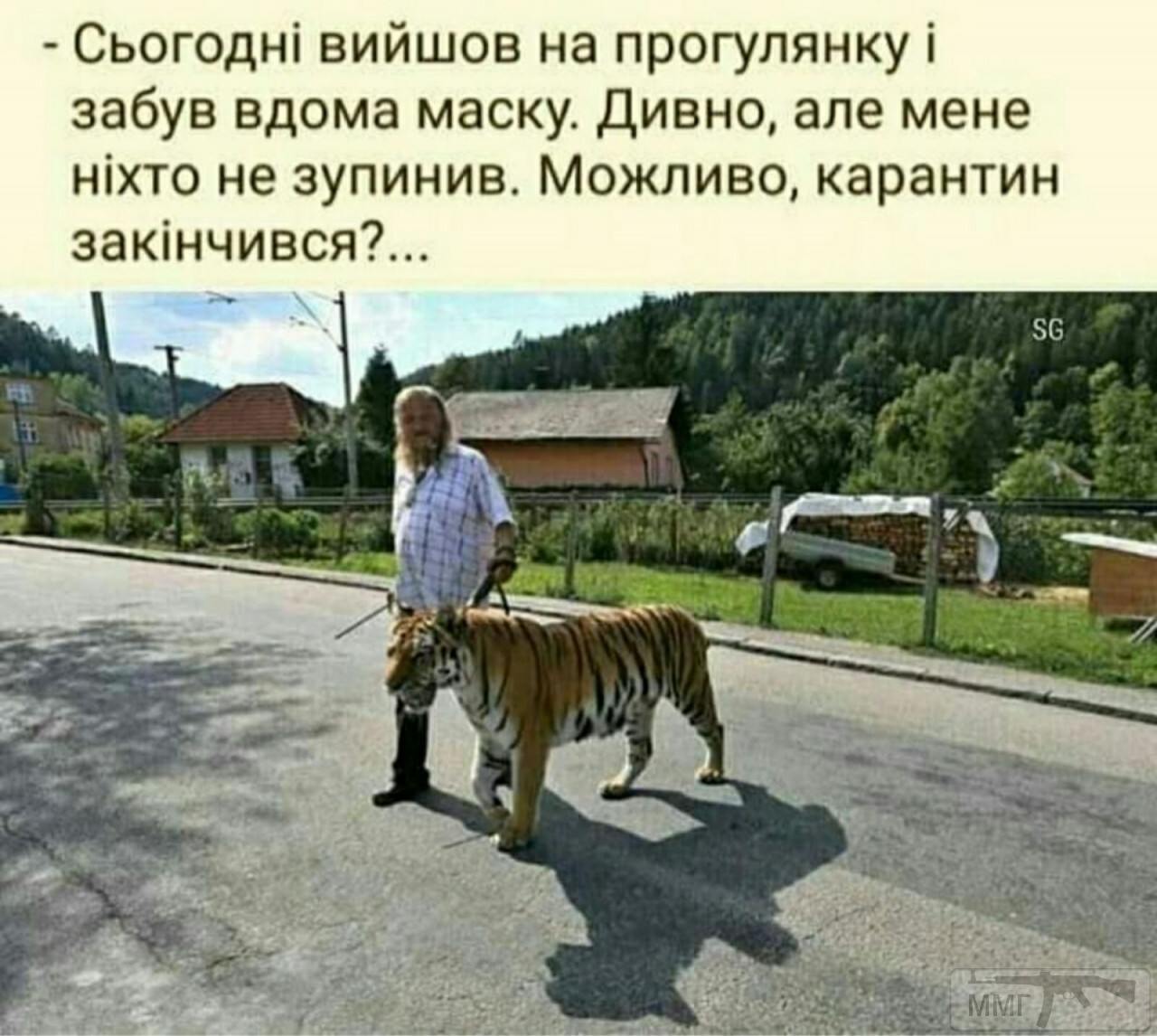 98213 - Вирус. Эпидемия.