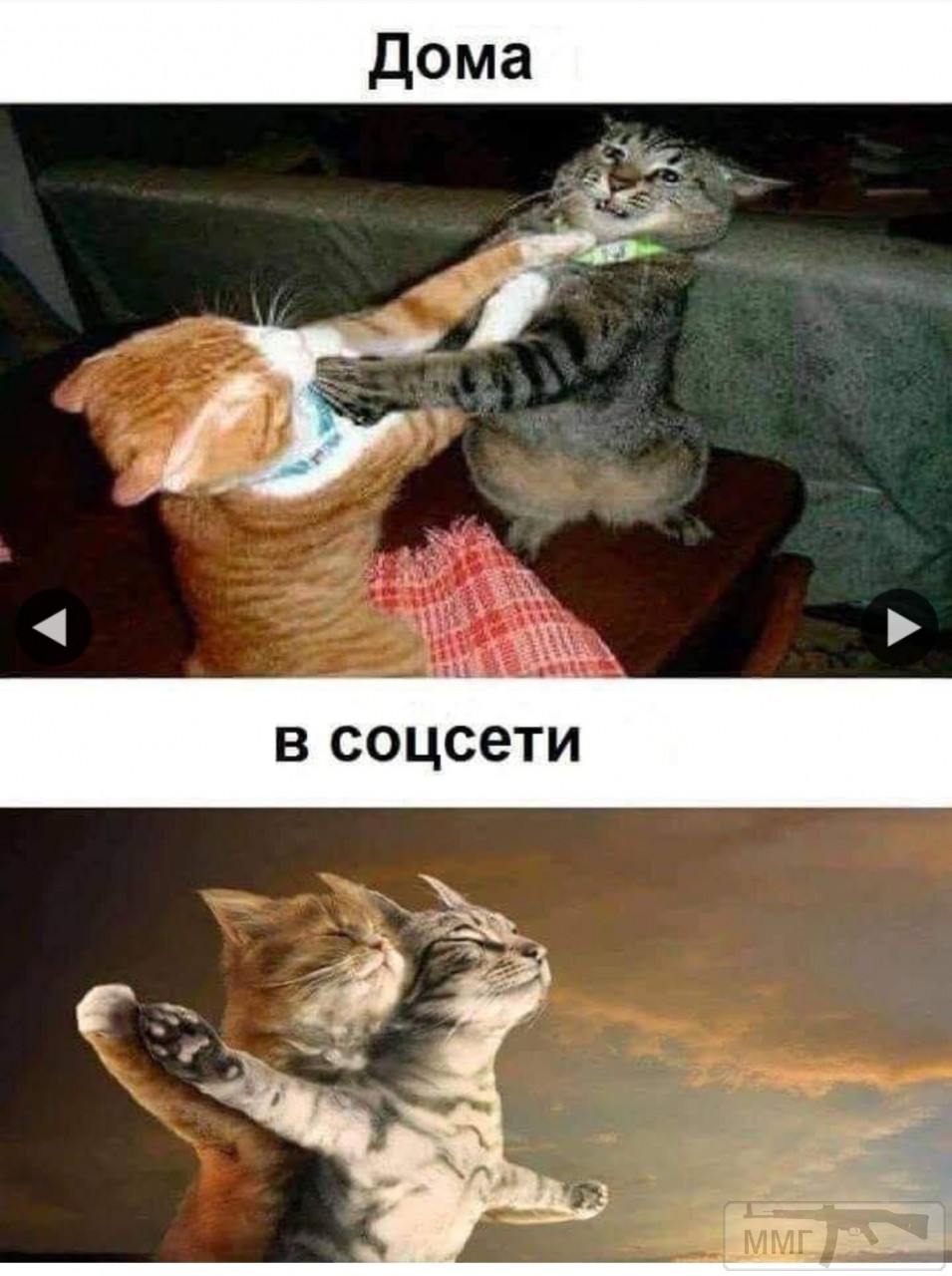 98427 - Отношения между мужем и женой.