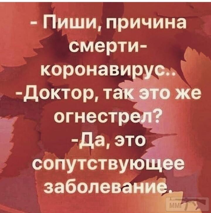 98598 - Вирус. Эпидемия.