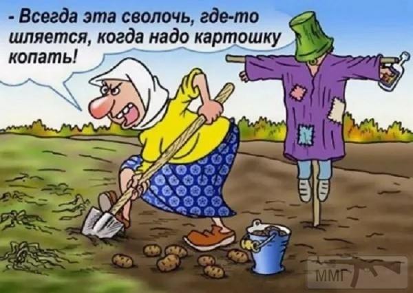 98638 - Отношения между мужем и женой.