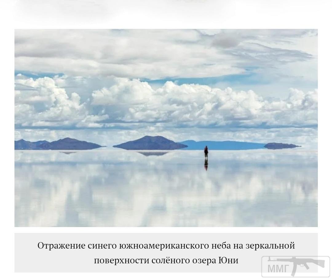 98822 - Везде хорошо, где нас нет...