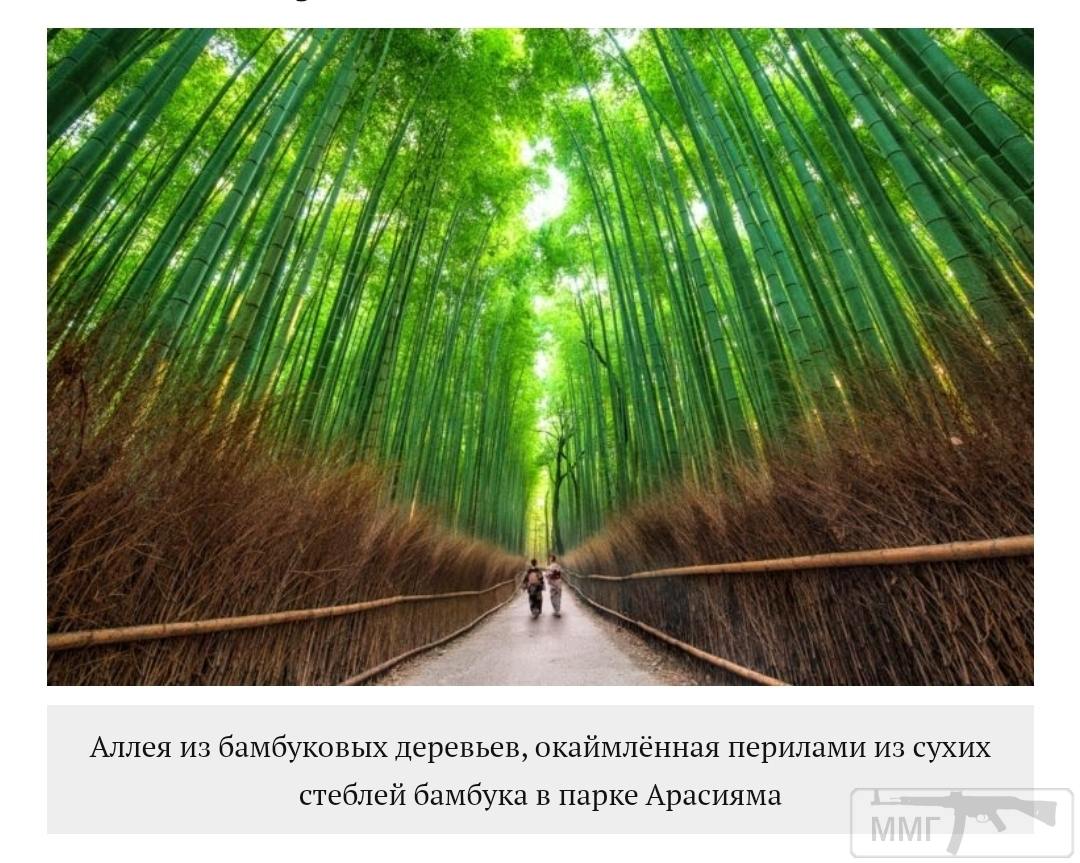 98825 - Везде хорошо, где нас нет...