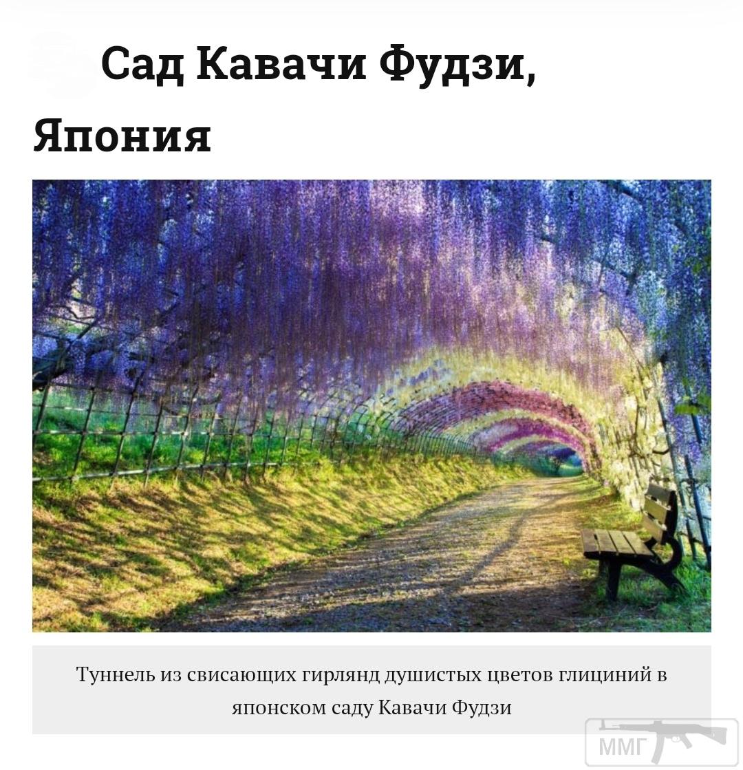 99149 - Везде хорошо, где нас нет...
