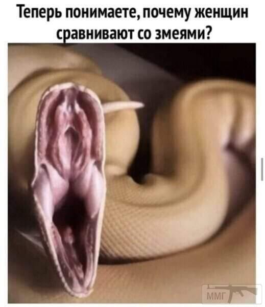 99295 - Отношения между мужем и женой.