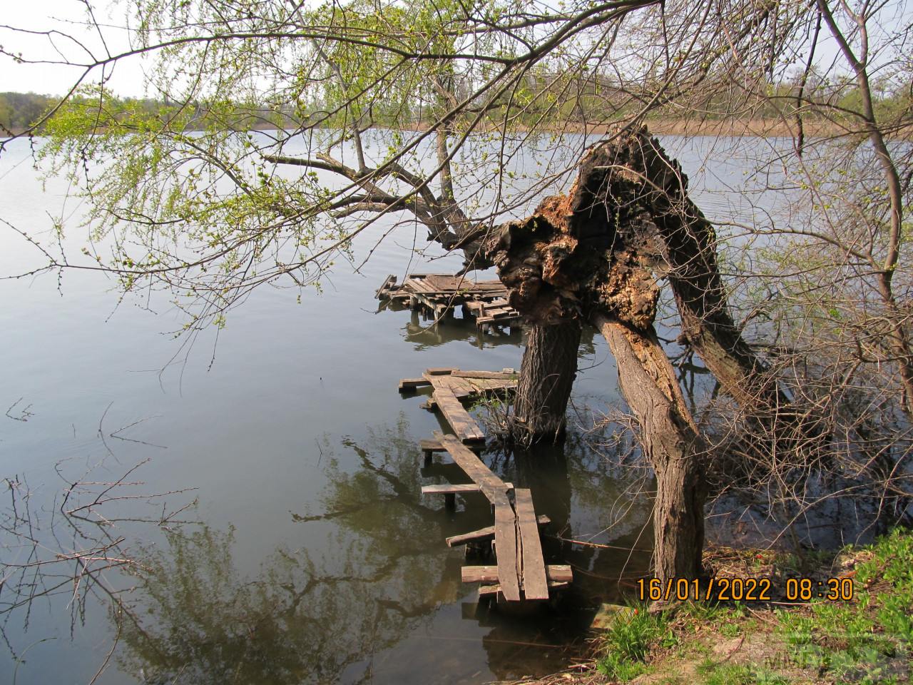 99313 - Закуски на огне (мангал, барбекю и т.д.) и кулинария вообще. Советы и рецепты.