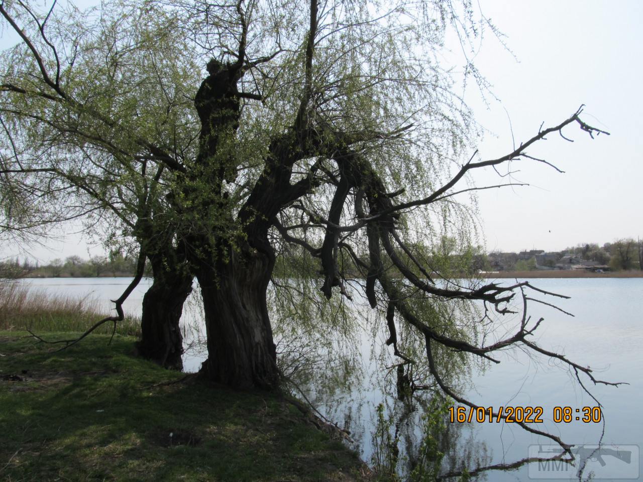 99314 - Закуски на огне (мангал, барбекю и т.д.) и кулинария вообще. Советы и рецепты.