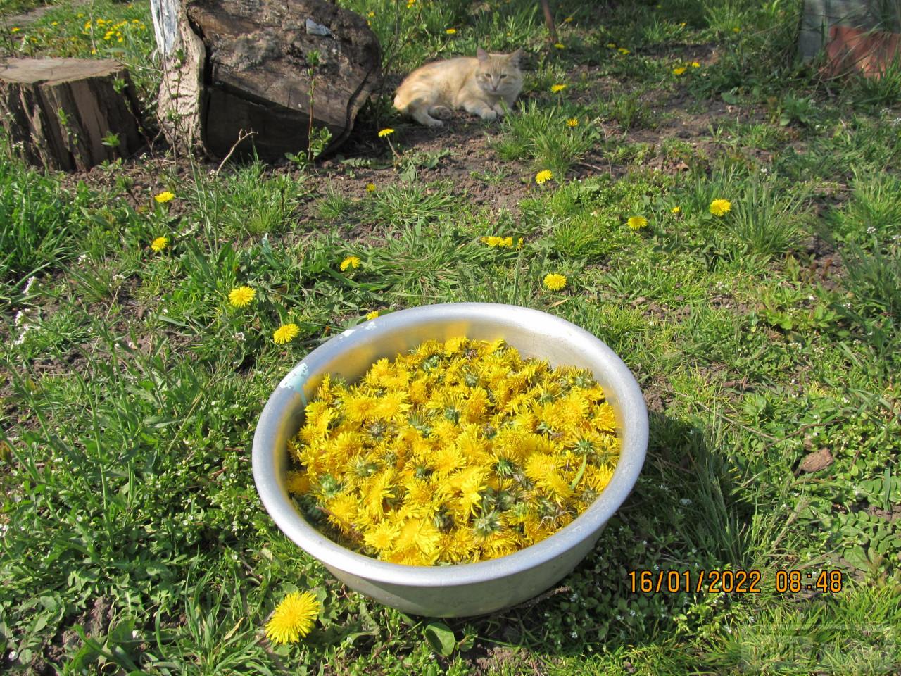 99316 - Закуски на огне (мангал, барбекю и т.д.) и кулинария вообще. Советы и рецепты.