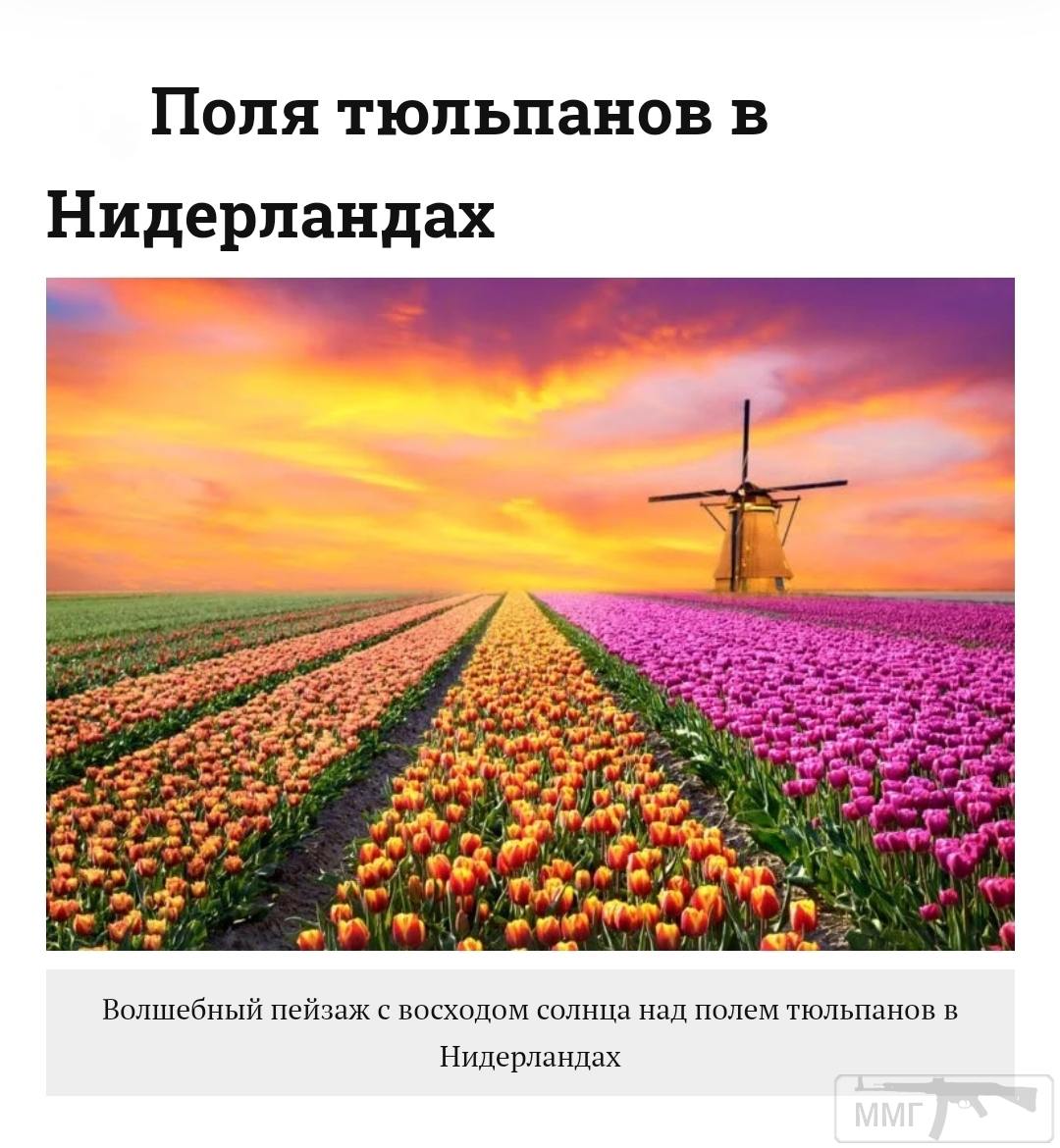 99329 - Везде хорошо, где нас нет...