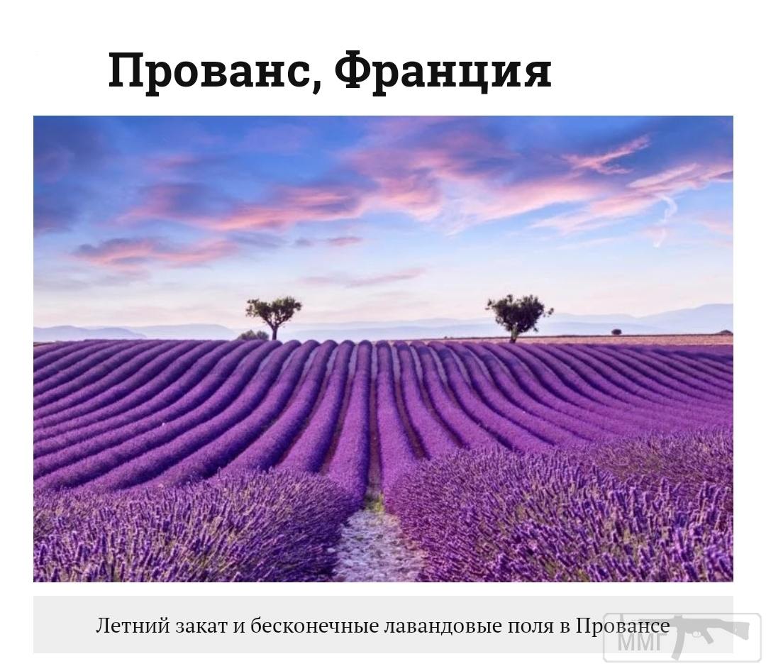 99330 - Везде хорошо, где нас нет...